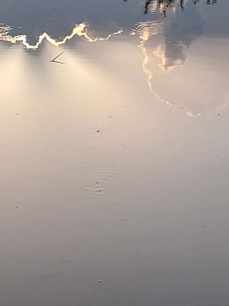 Photographie ©Cumulonimbus 2025